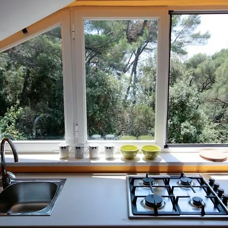 Island Gem - Five Bedroom Apartment *