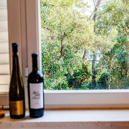 Island Gem - Five Bedroom Appartement