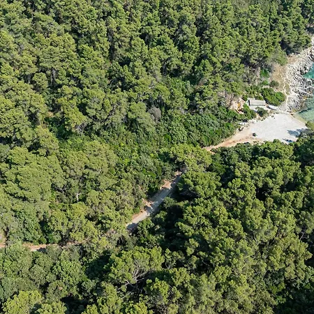 Island Gem - Five Bedroom Appartement *